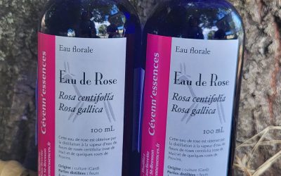 Cette semaine au Paysans du Coin 25/07/25