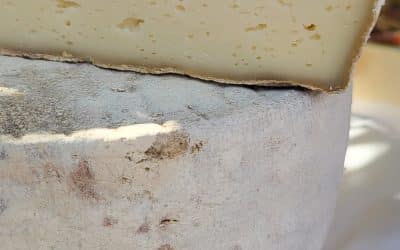 Cette semaine au Paysans du Coin 1 août